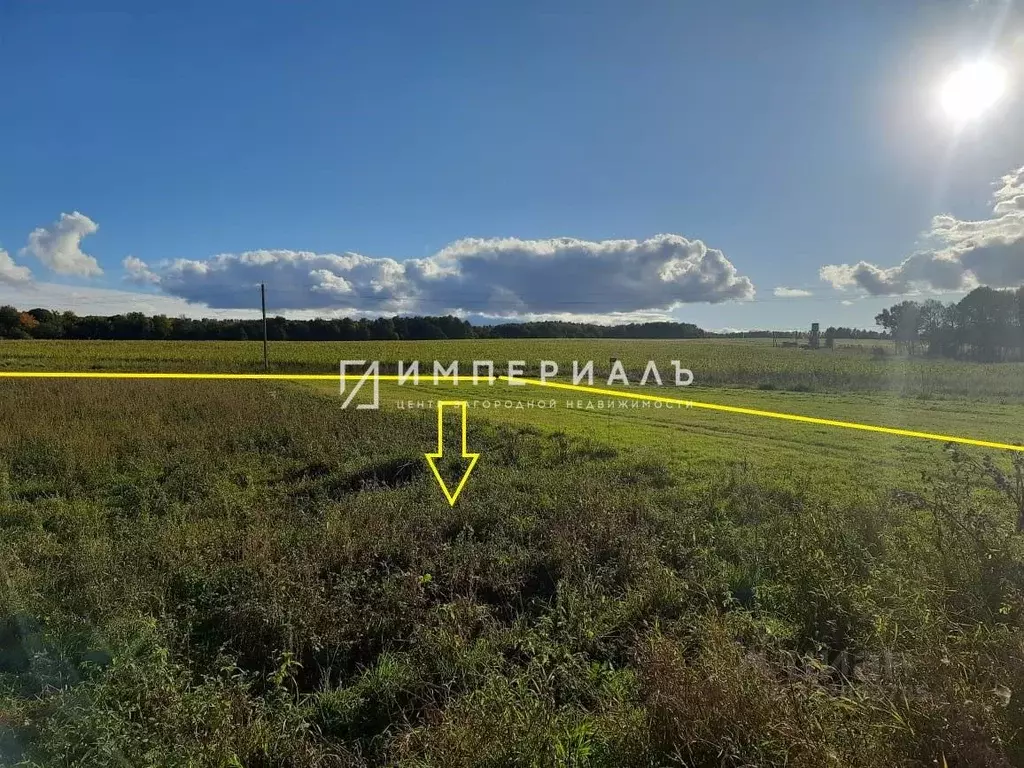 Участок в Калужская область, Жуковский муниципальный округ, Высокиничи ... - Фото 2