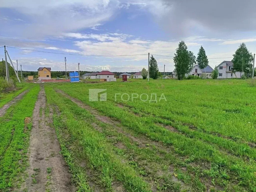Участок в Алтайский край, Павловский район, пос. Комсомольский ... - Фото 2