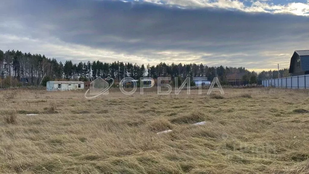 Участок в Тюменская область, Тюменский район, д. Якуши, Атлетик ... - Фото 1