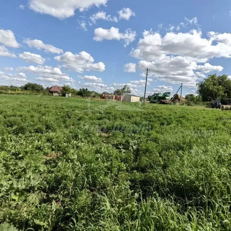 Участок в Татарстан, Арск муниципальное образование, с. Тюбяк-Чекурча  ... - Фото 1