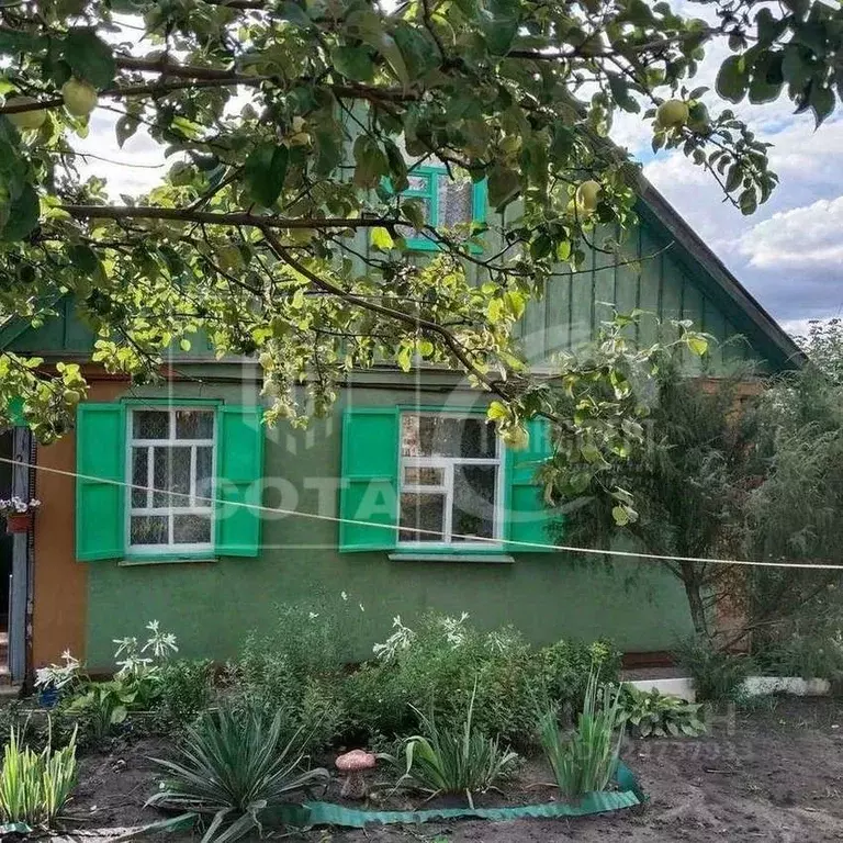 Дом в Воронежская область, Воронеж Отдых СНТ, 342/1 (58 м) - Фото 2