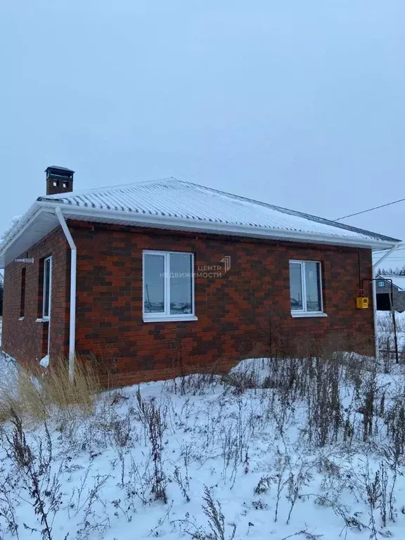 Дом в Татарстан, с. Тюлячи ул. 25-летия района, 6 (74 м) - Фото 0