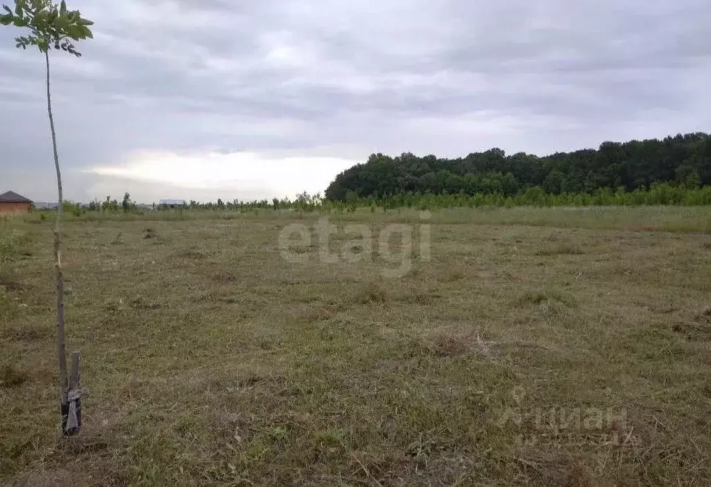 Участок в Белгородская область, Белгород ул. Виктора Лосева (15.0 ... - Фото 1