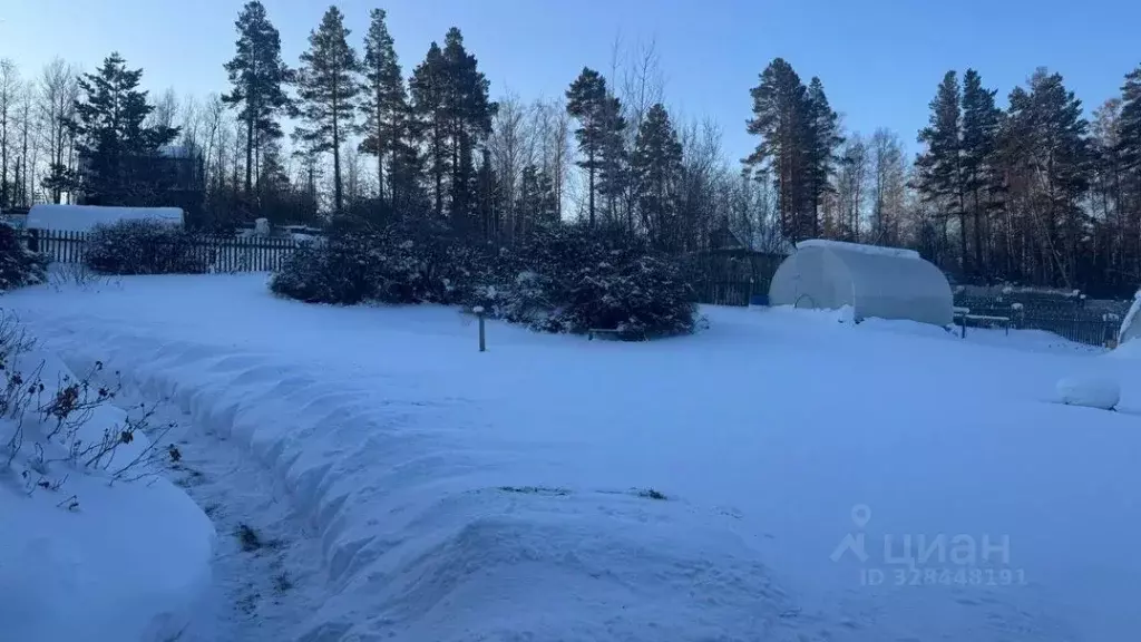 Участок в Иркутская область, Иркутск Светлый СНТ, ул. Западная (10.0 ... - Фото 2