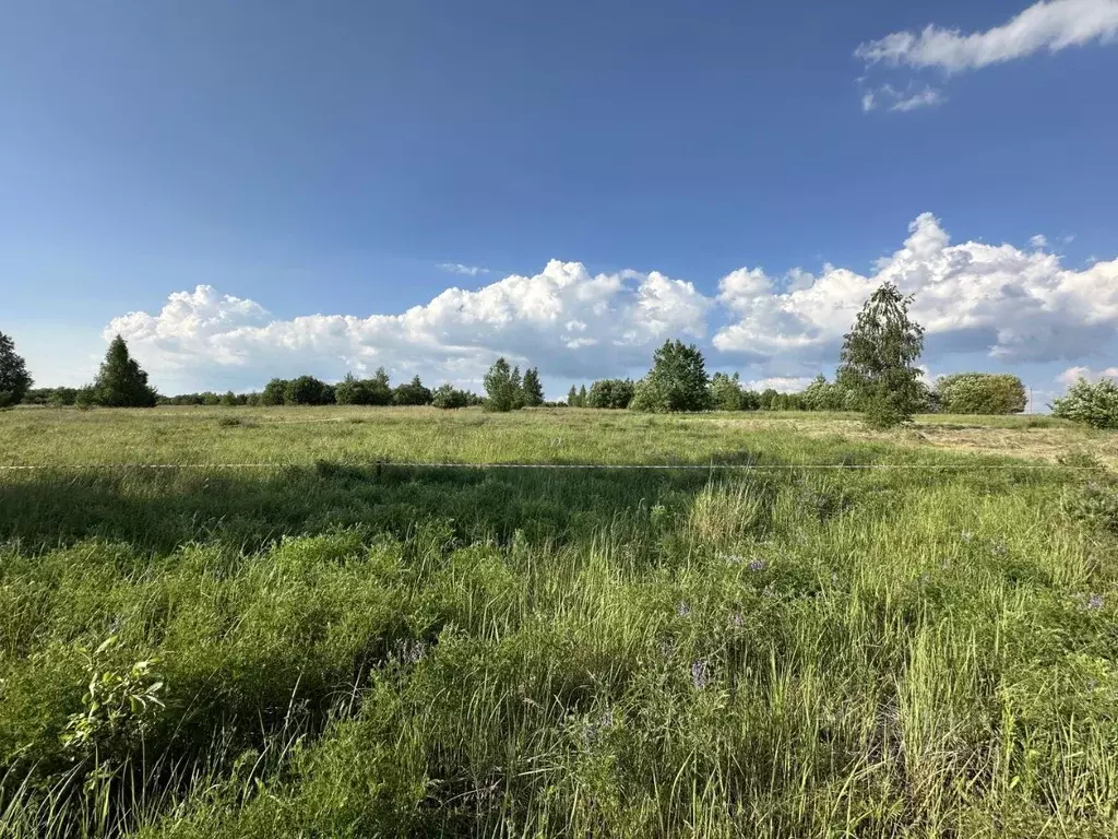 Участок в Курская область, Курск Красная пл. (10.0 сот.) - Фото 1