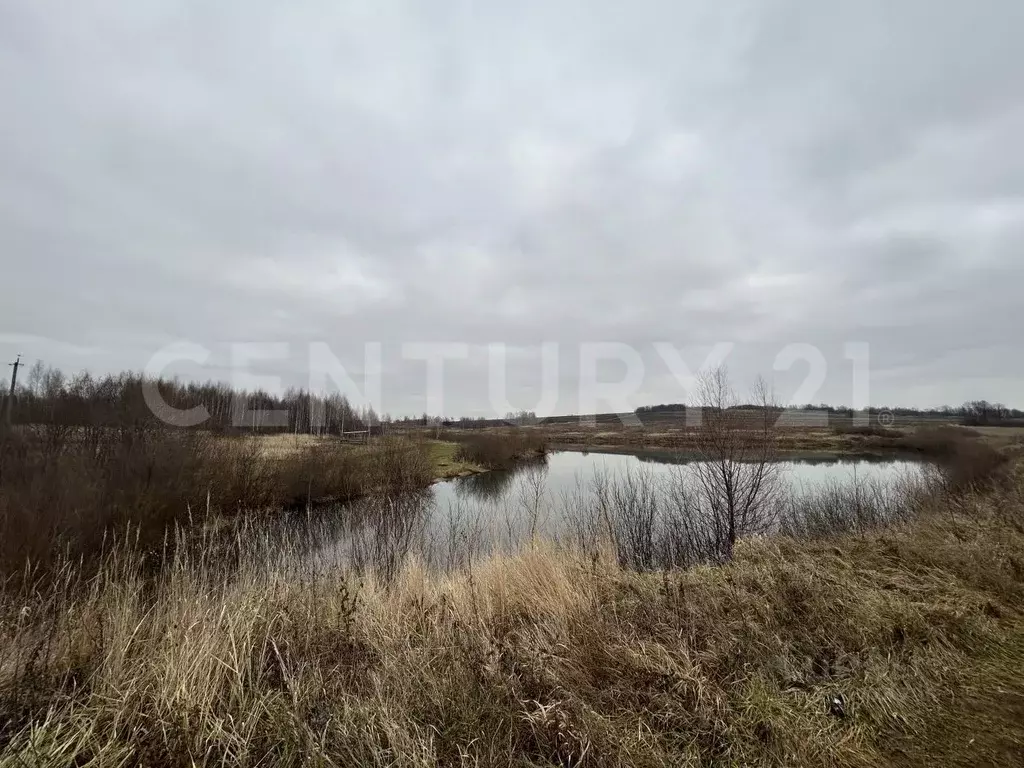 Участок в Башкортостан, Иглинский район, Чуваш-Кубовский сельсовет, с. ... - Фото 2