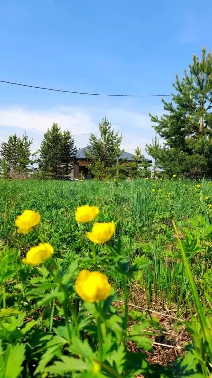 Участок в Кировская область, Слободской муниципальный район, д. Шихово ... - Фото 2