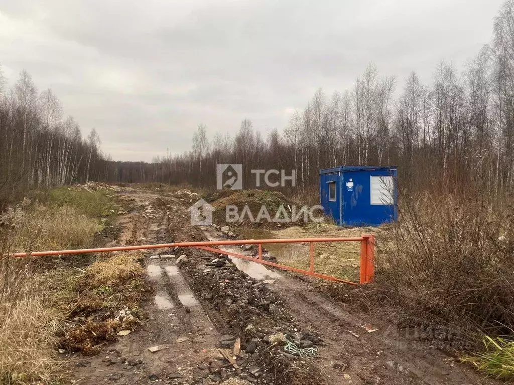 Участок в Московская область, Щелково городской округ, Вектор-1 СНТ  ... - Фото 1