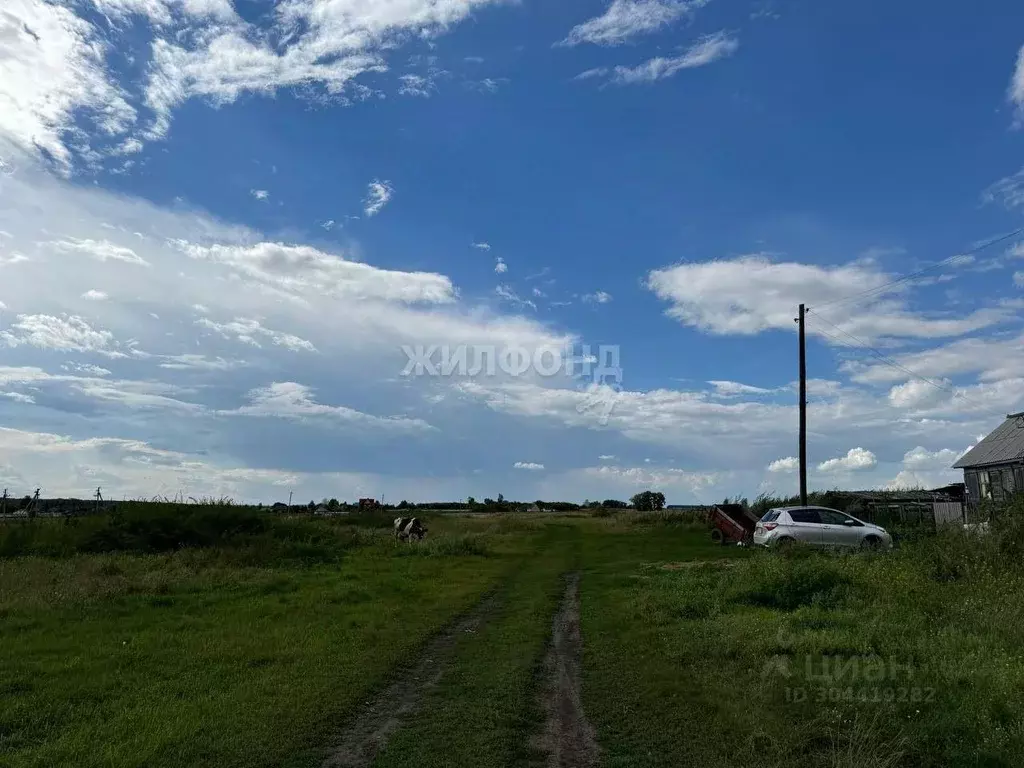 участок в новосибирская область, ордынский район, д. поперечное . - Фото 0