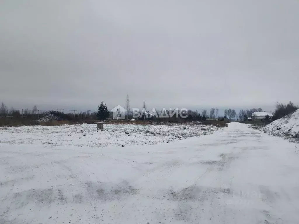 Участок в Нижегородская область, с. Безводное ул. Научная, 79 (10.0 ... - Фото 2