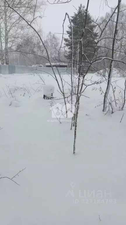 Участок в Новосибирская область, Мошковский район, Кадр-2 СНТ  (6.0 ... - Фото 1