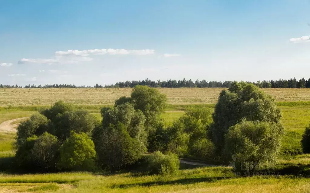 Участок в Московская область, Ступино городской округ, с. Починки  ... - Фото 1