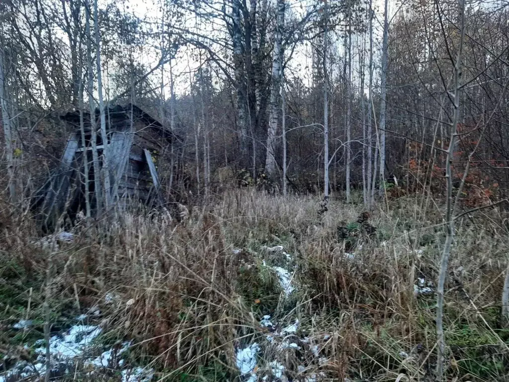 Участок в Санкт-Петербург пос. Серово,  (13.0 сот.) - Фото 1