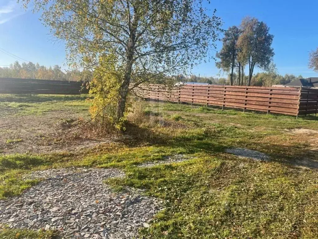 Участок в Нижегородская область, Богородский муниципальный округ, д. ... - Фото 1