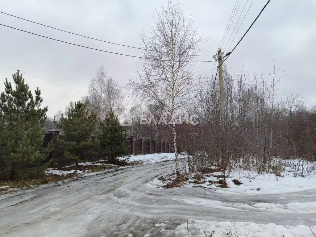 Участок в Владимирская область, Суздальский район, Новоалександровское ... - Фото 0