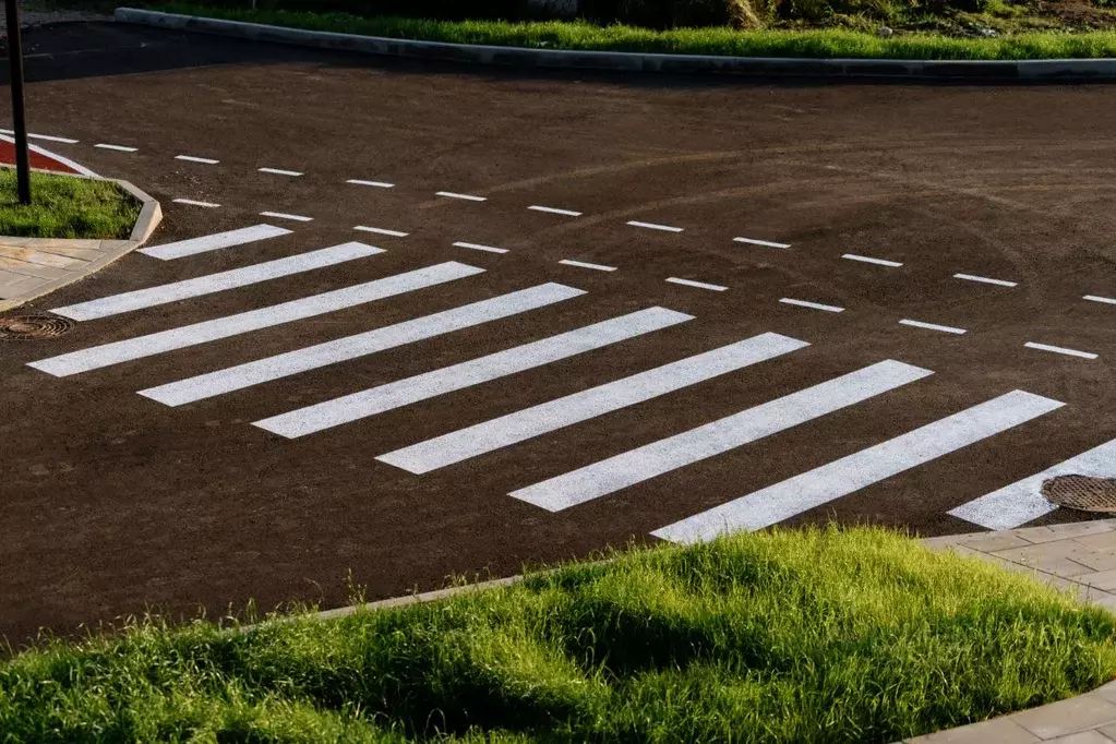 Участок в Ленинградская область, Всеволожский район, Лесколовское ... - Фото 1