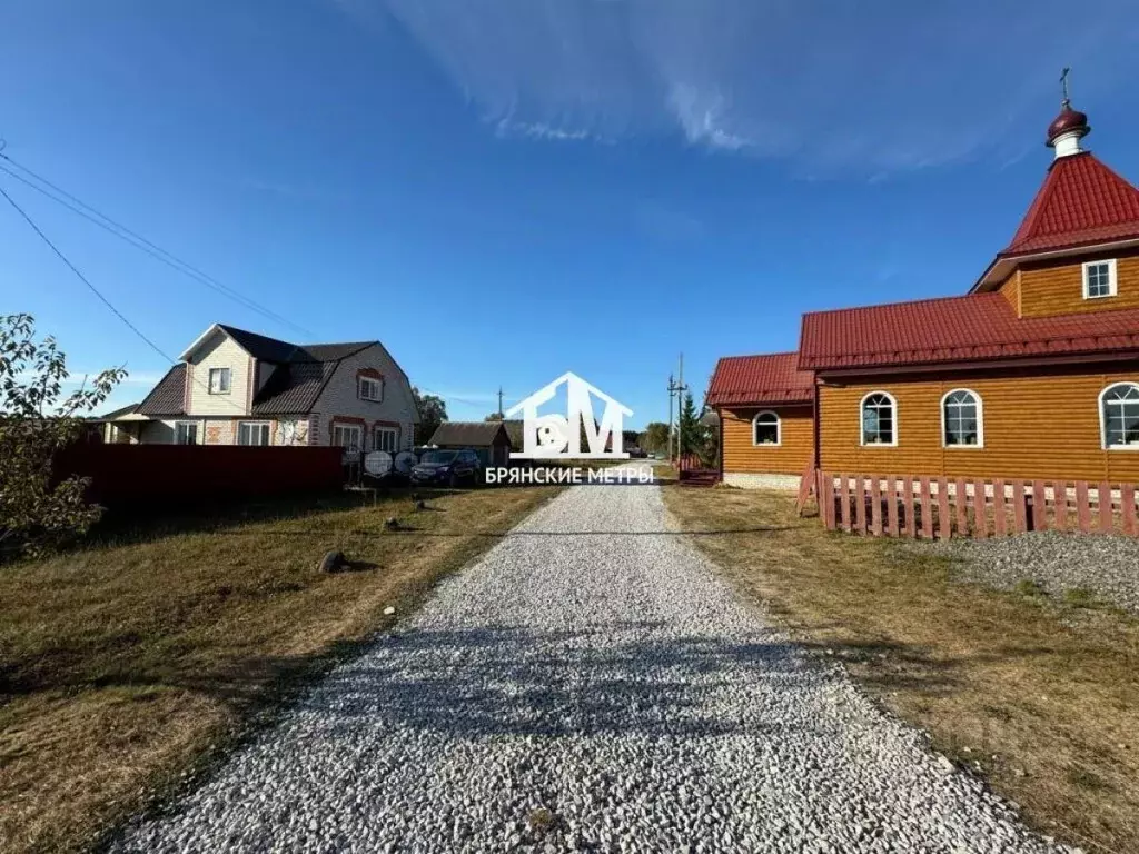 Участок в Брянская область, Навлинский район, пос. Синезерки ... - Фото 2