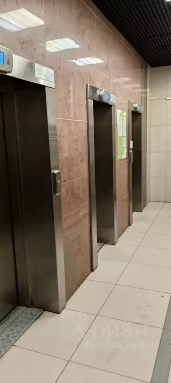 2-к кв. Ленинградская область, Мурино Всеволожский район, Новая ул., ... - Фото 2