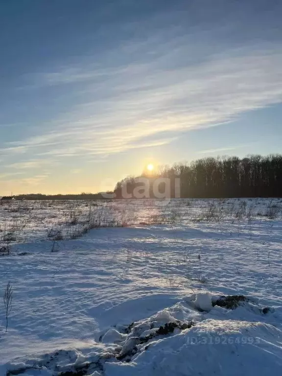 Участок в Курская область, Курский район, Моковский сельсовет, д. ... - Фото 0