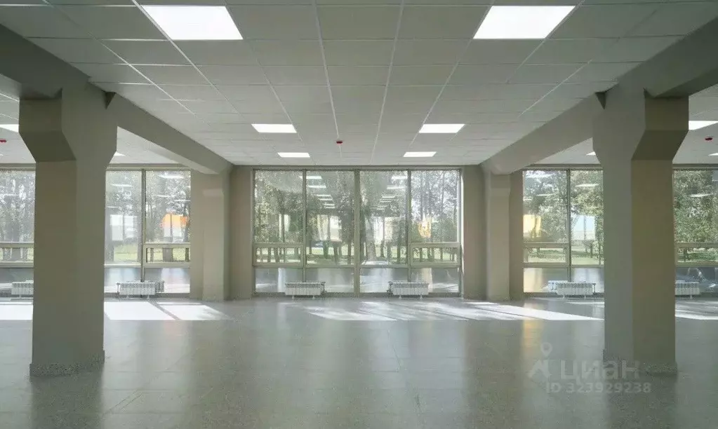 Помещение свободного назначения в Санкт-Петербург, Санкт-Петербург, ... - Фото 1