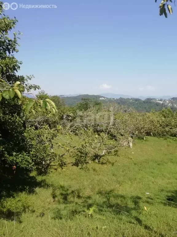 Участок в село Орёл-Изумруд, улица 10 лет Октября (35.2 м) - Фото 0