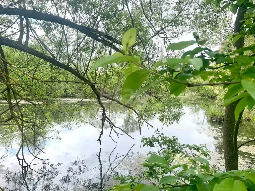 Дом в Калужская область, сельское поселение село Ферзиково, деревня ... - Фото 0