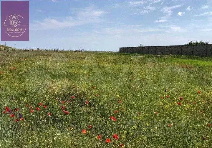 Участок в Крым, Сакский район, с. Суворовское ул. Черноморское Шоссе ... - Фото 1