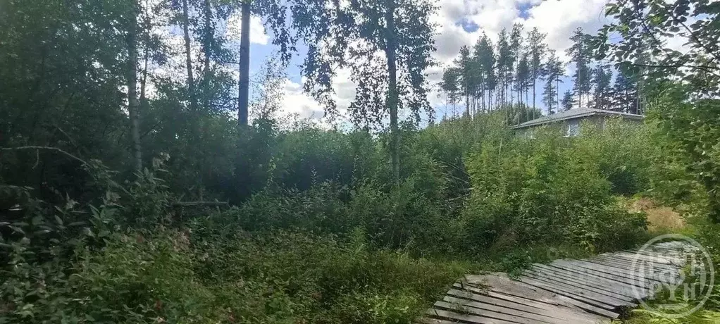Участок в Ленинградская область, Всеволожск пер. Семейный, 1 (6.0 ... - Фото 1