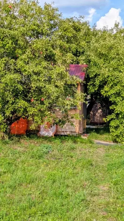 Участок в Нижегородская область, Дальнеконстантиновский муниципальный ... - Фото 1