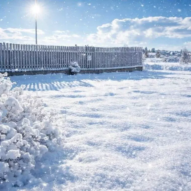 Участок в Ярославская область, Некрасовский муниципальный округ, с. ... - Фото 1