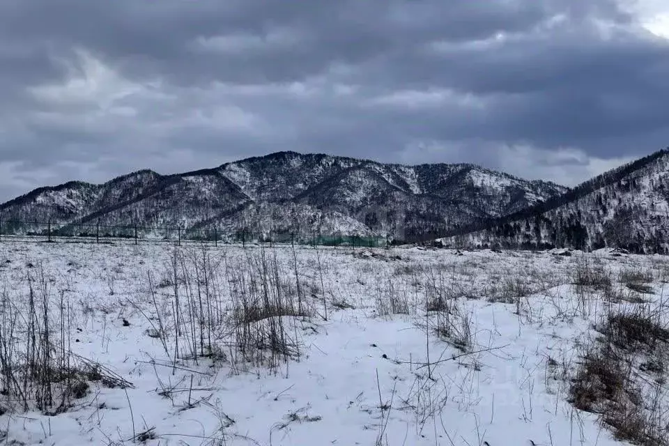 Участок в Алтай, Майминский район, с. Подгорное  (10.0 сот.) - Фото 2