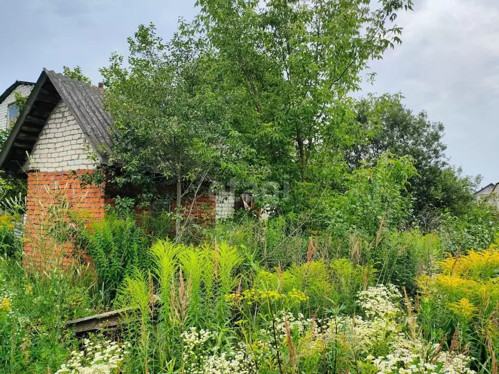 Дом в Брянская область, Брянск Автодорожник садовое общество, 2 (20 м) - Фото 1