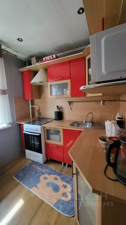 1-к кв. Курганская область, Курган ул. Гоголя, 100 (33.0 м) - Фото 0