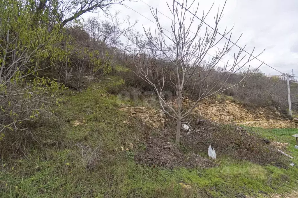 Участок в Севастополь СТ Дружба ТСН, 46 (4.0 сот.) - Фото 1