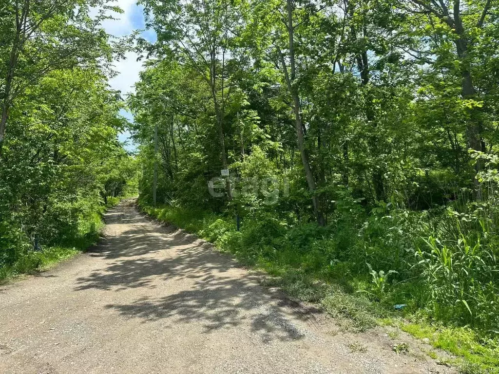 участок в приморский край, надеждинский район, тавричанское урочище, . - Фото 0