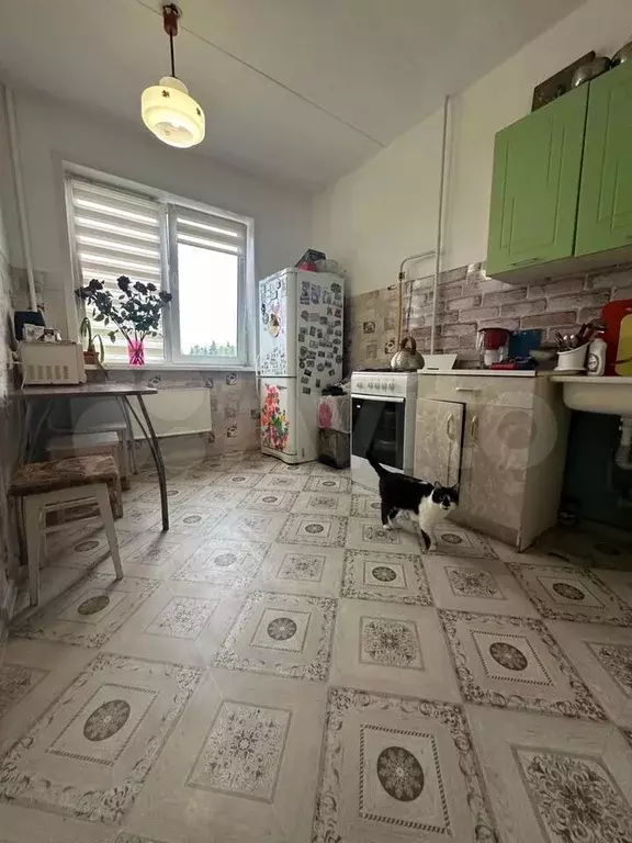 2-к. квартира, 50,7 м, 4/5 эт. - Фото 0