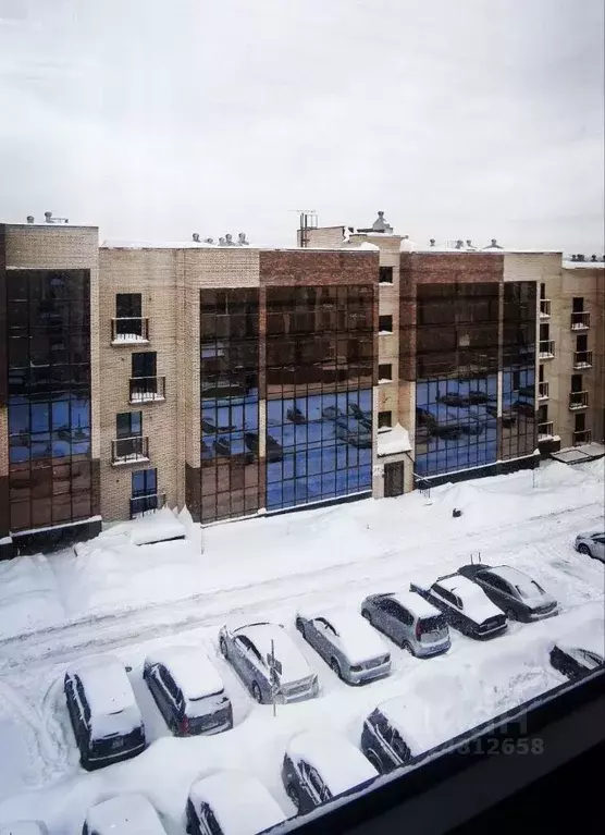 Студия Новосибирская область, Новосибирск ул. Заслонова, 13/8 (28.5 м) - Фото 2