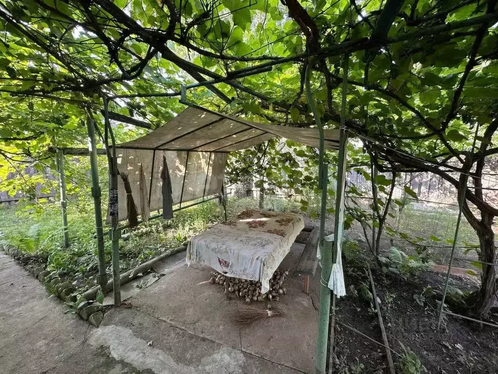 Дом в Брянская область, Брянск Десна-2 садовое общество,  (33 м) - Фото 1