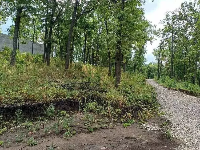 Участок в Тольятти, Лесопарковое шоссе (8.5 м) - Фото 2