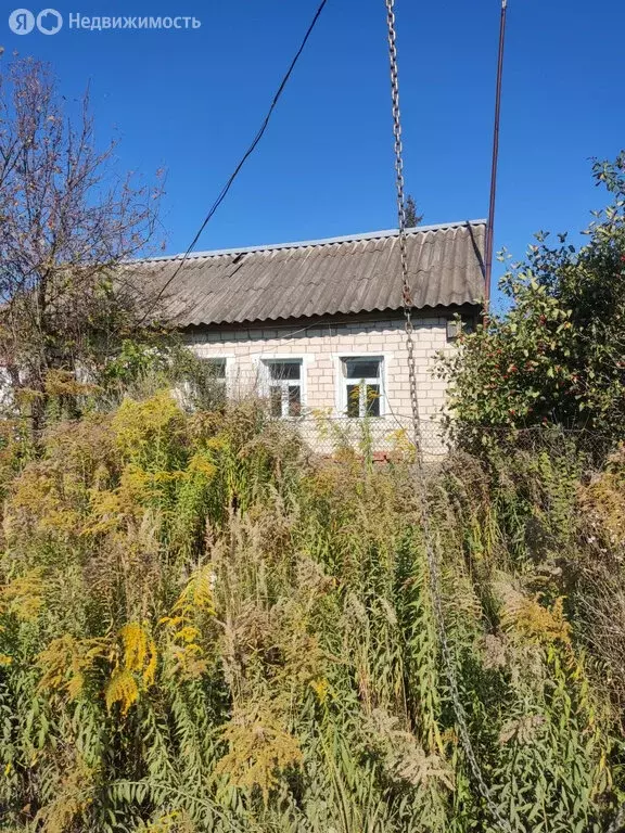 Дом в Орловский муниципальный округ, село Паслово (85.5 м) - Фото 0