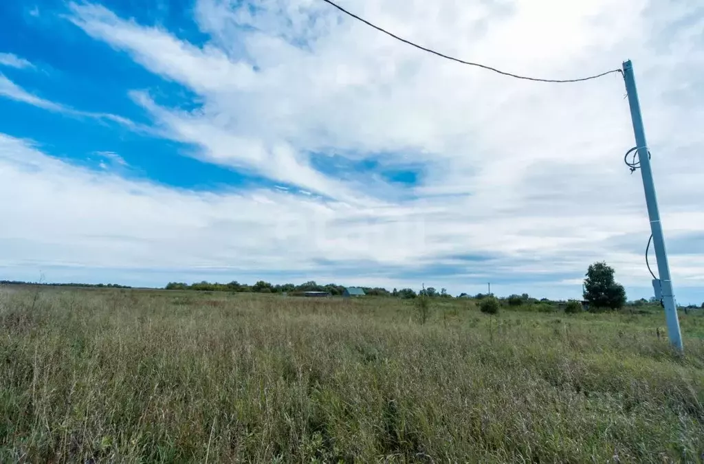 Участок в Алтайский край, Смоленский район, с. Смоленское ул. ... - Фото 1