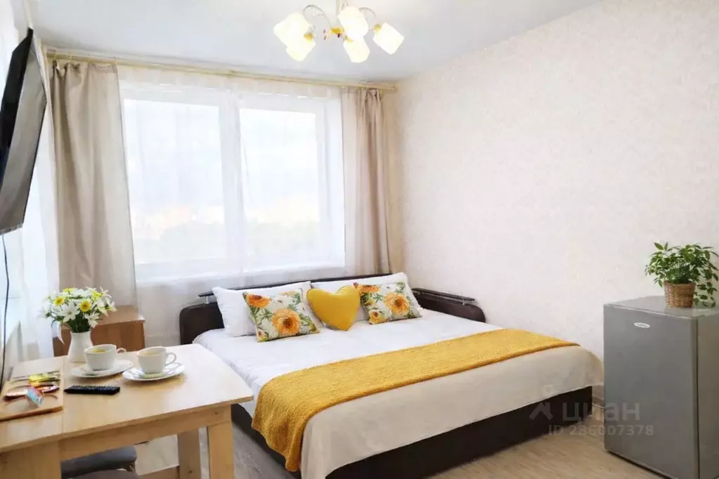 Студия Московская область, Королев Октябрьский бул., 26 (24.0 м) - Фото 1