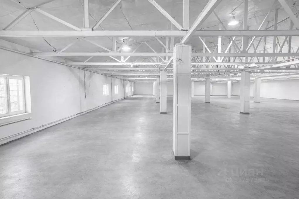 Склад в Московская область, Мытищи городской округ, д. Грибки 19А ... - Фото 2