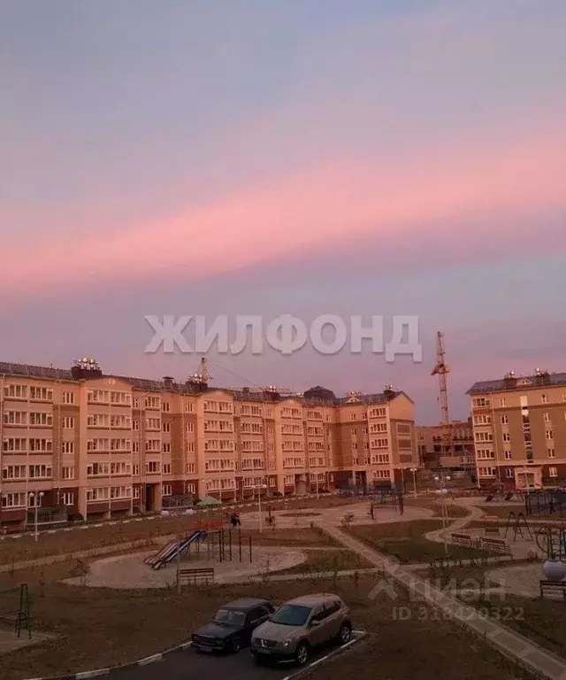 1-к кв. Белгородская область, Белгородский район, Разумное рп ул. ... - Фото 0
