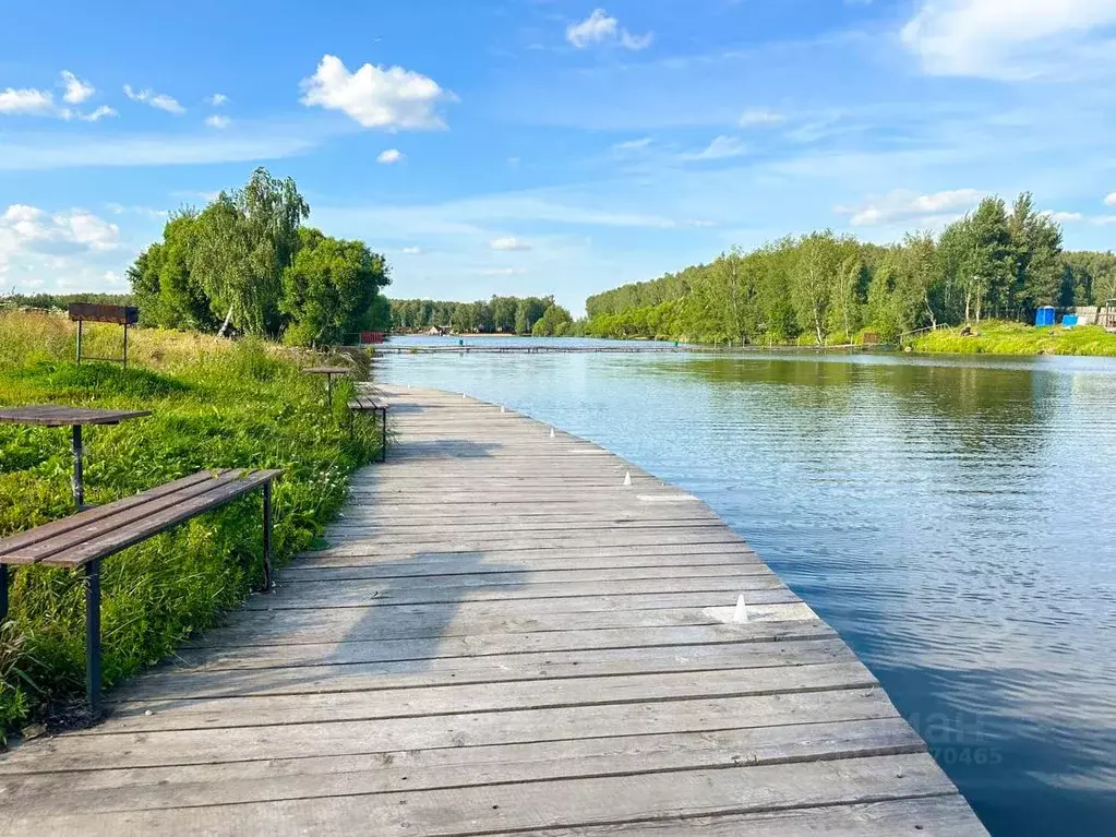 Участок в Московская область, Домодедово Росток СНТ, 1 (5.2 сот.) - Фото 1