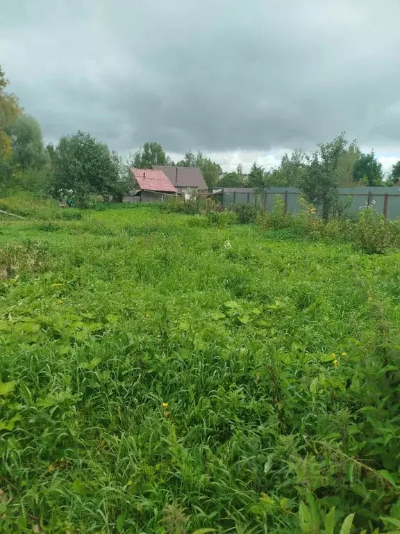 Участок в Московская область, Клин городской округ, пос. Нарынка ул. ... - Фото 1