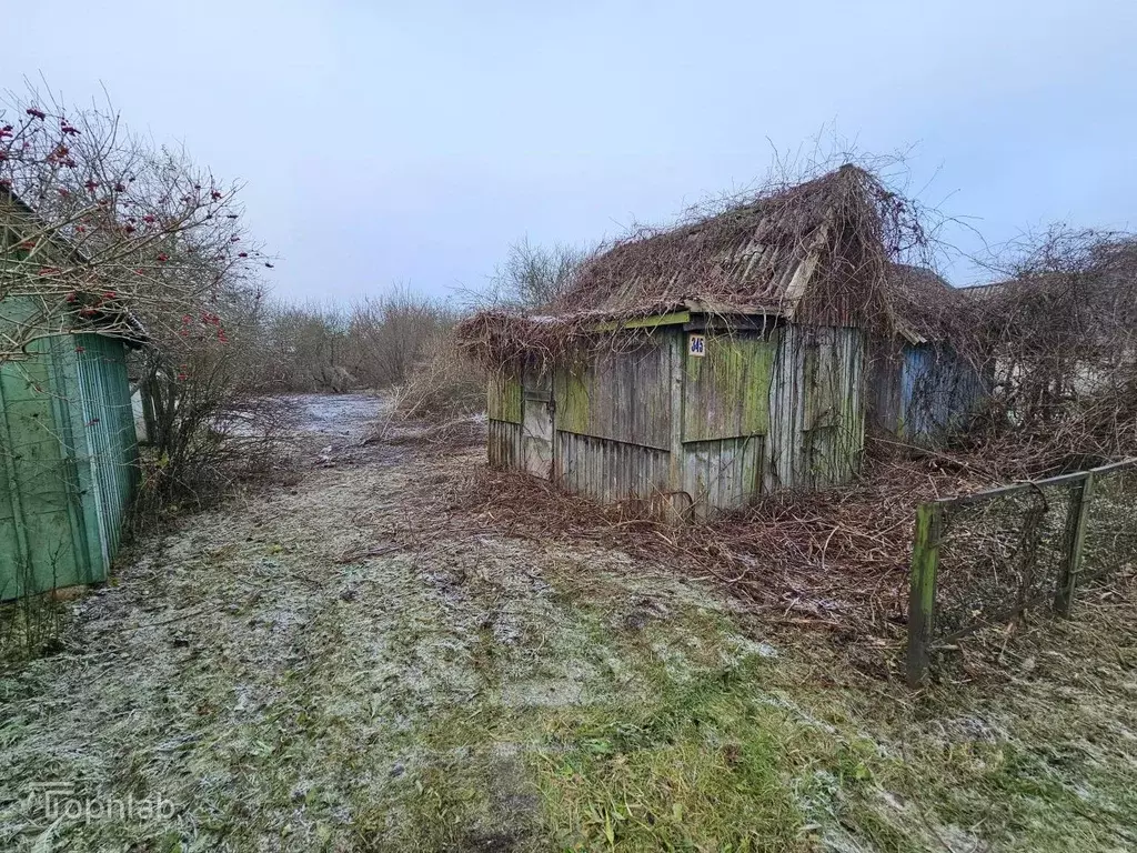 Участок в Калининградская область, Калининград Дельфин СНТ, ул. ... - Фото 1