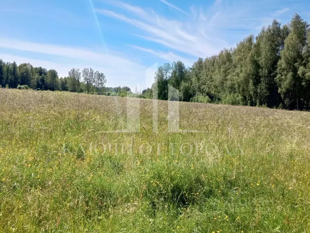 Участок в Псковская область, Гдовский район, Полновская волость, д. ... - Фото 1