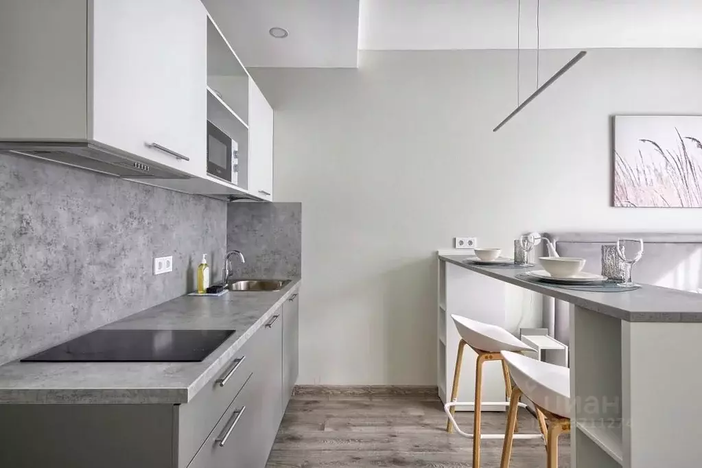 Студия Санкт-Петербург Витебский просп., 99к1 (24.4 м) - Фото 2