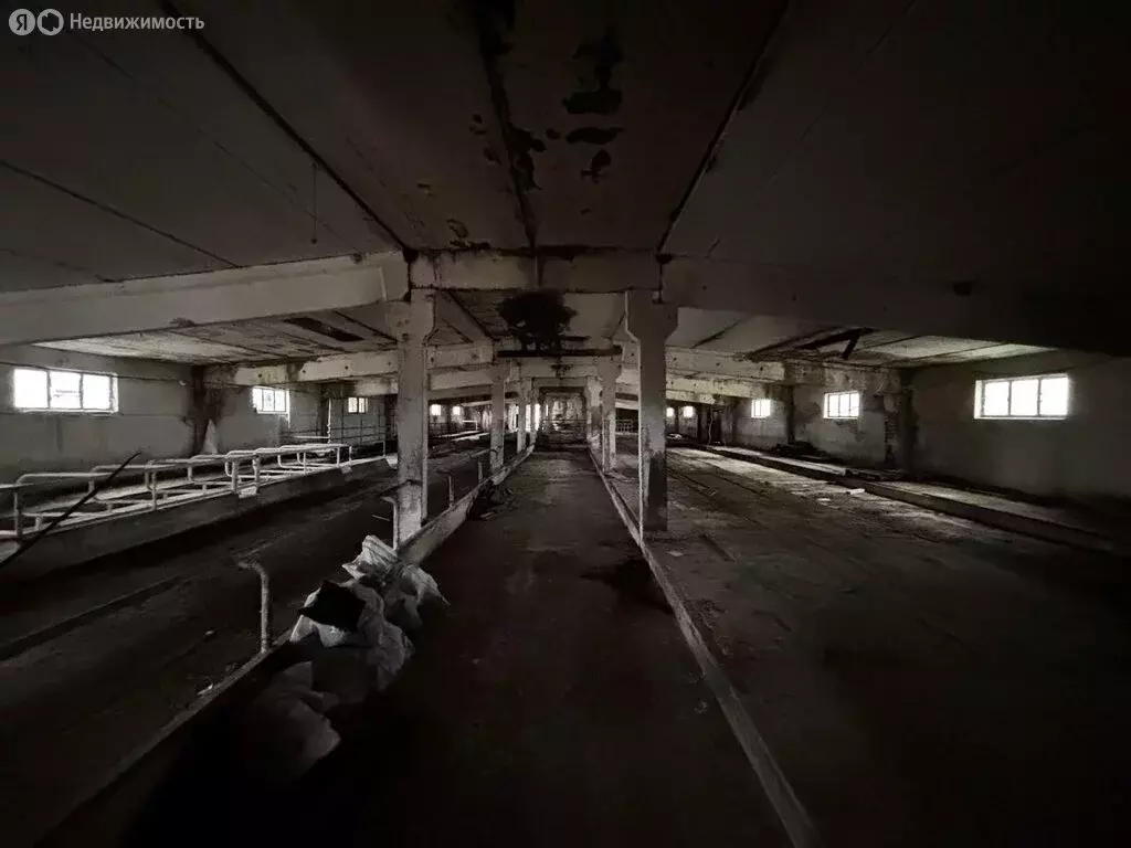 Производственное помещение (1050 м) - Фото 1